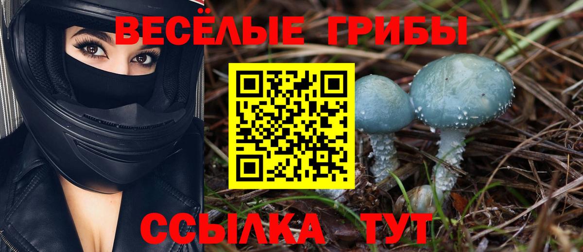 Галлюциногенные грибы мицелий  Вход с VPN  Дзержинск 