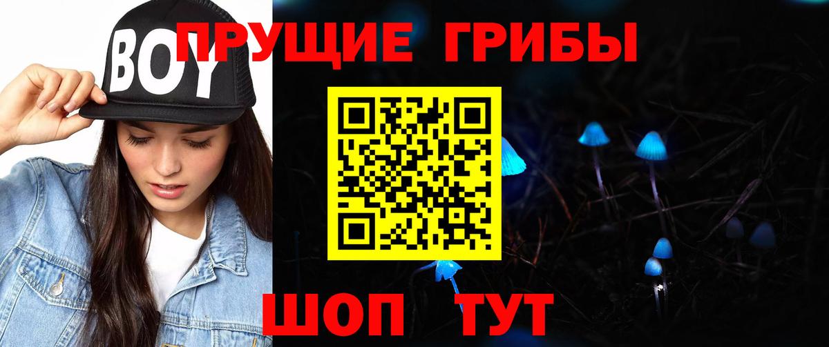 Псилоцибиновые грибы Psilocybine cubensis Дзержинск